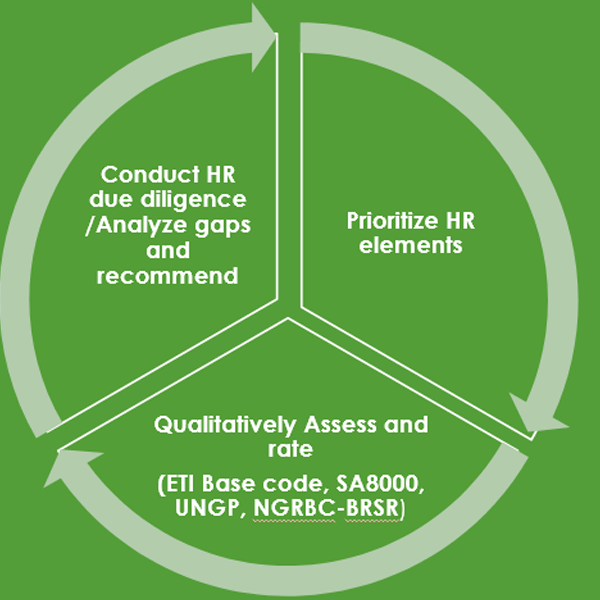 Human Resource Assessment Framework